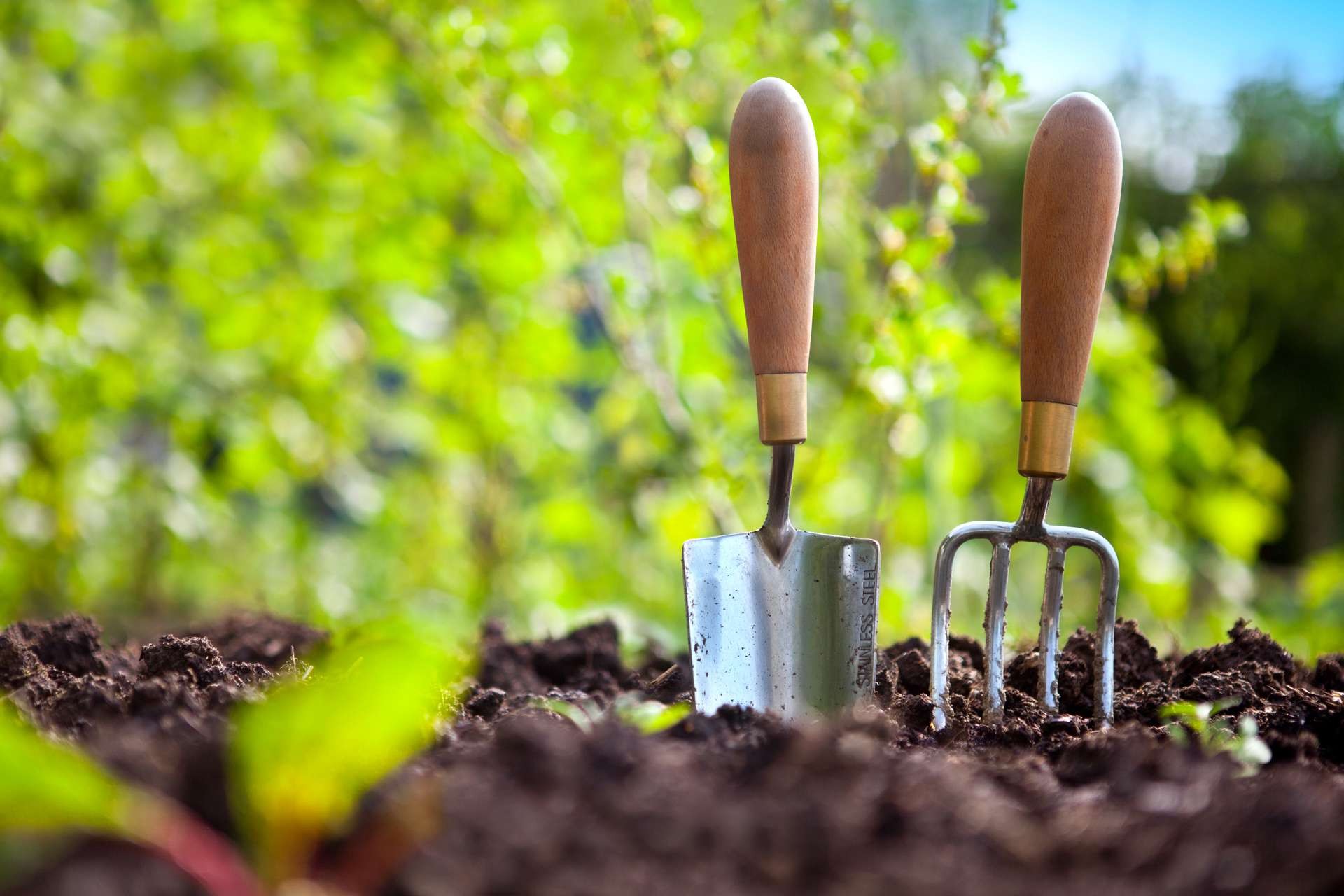 Сайты для садоводов и огородников. Садоводство. Вещи для садоводства. Инструменты для садоводов и огородников. Инструменты садовода и огородника.